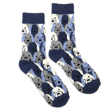 Load image into Gallery viewer, Pom - Blue Stripe Dog Socks Duo