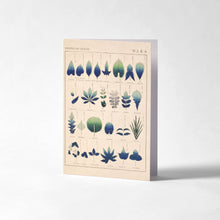 Load image into Gallery viewer, Greetings Card - Shapes of Leaves