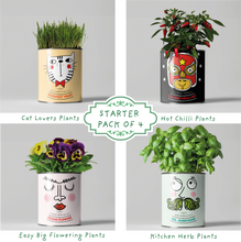 Load image into Gallery viewer, Retailer starter 4 pack Chilli, Cat, Flower and Herb
