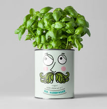 Load image into Gallery viewer, Retailer starter 4 pack Chilli, Cat, Flower and Herb
