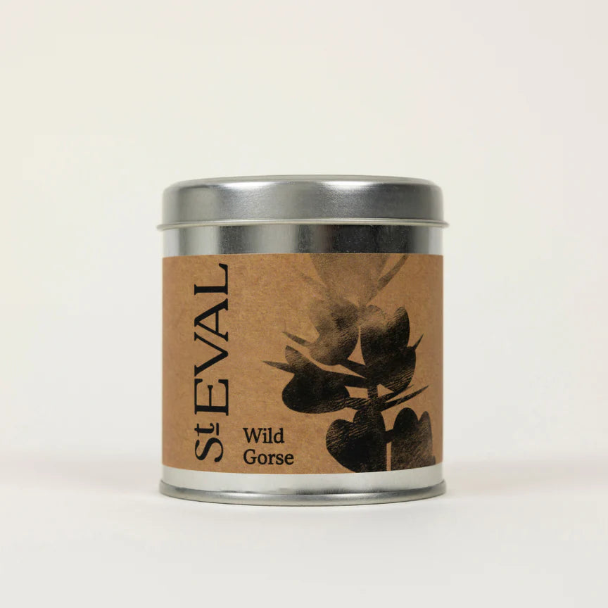 St Eval Candle - Wild Gorse
