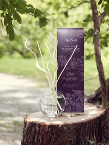 Wellness - Cheer -Blackcurrant,Goji & Plum Diffuser