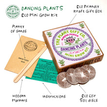 Load image into Gallery viewer, Grow You Own Dancing Plants.
