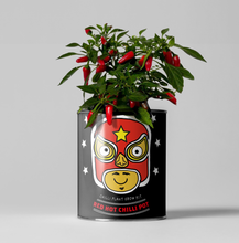 Load image into Gallery viewer, Retailer starter 4 pack Chilli, Cat, Flower and Herb

