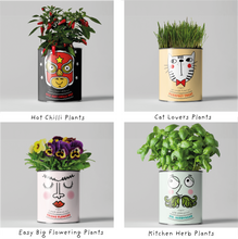 Load image into Gallery viewer, Retailer starter 4 pack Chilli, Cat, Flower and Herb
