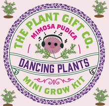 Load image into Gallery viewer, Grow You Own Dancing Plants.

