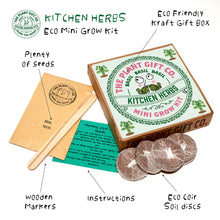 Load image into Gallery viewer, Kitchen Herb. Eco Mini Basil Grow Kit.
