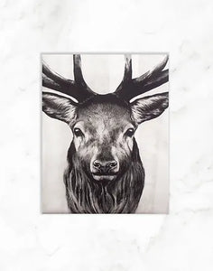 Rhianne Sian - large tea towel - stag head