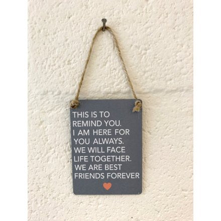 Metal sign - Best Friends Forever